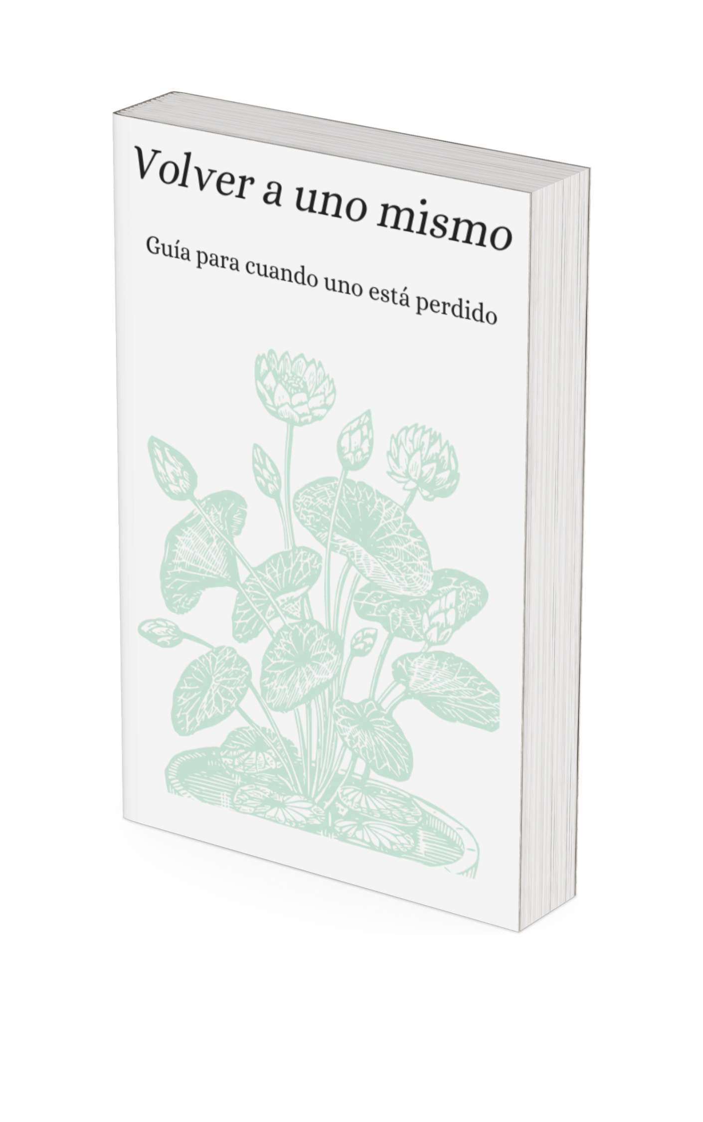 Volver a uno mismo: Guía práctica para cuando estás perdido